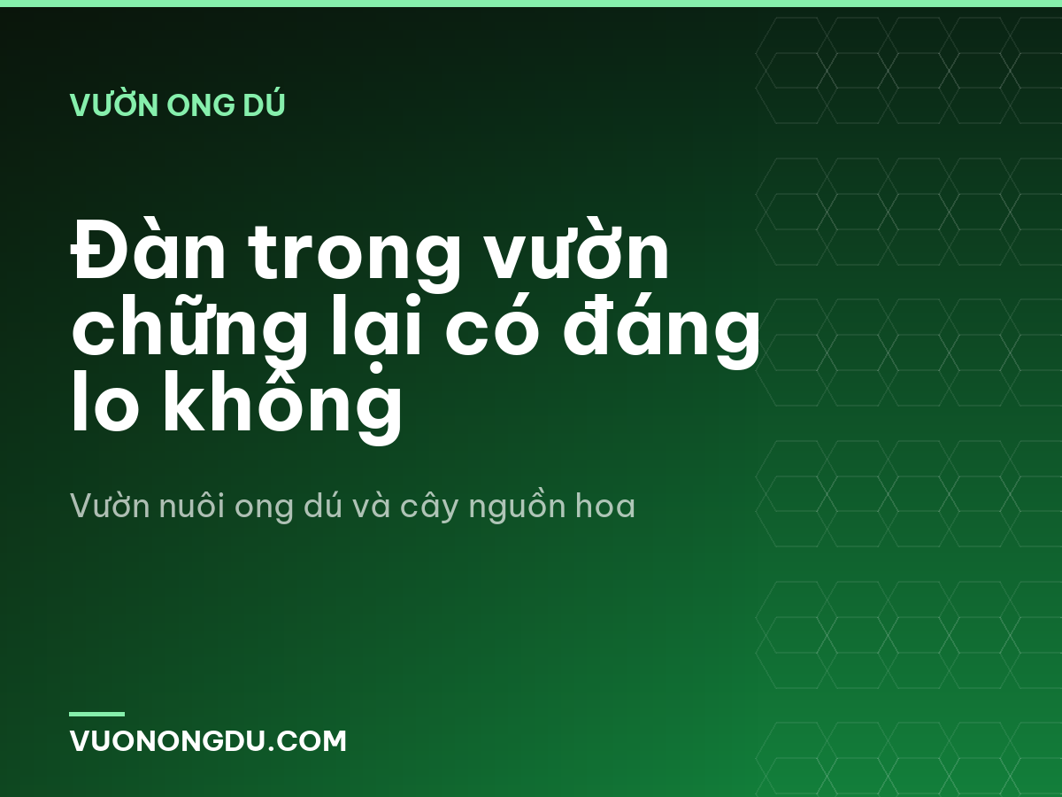 Đàn trong vườn chững lại có đáng lo không