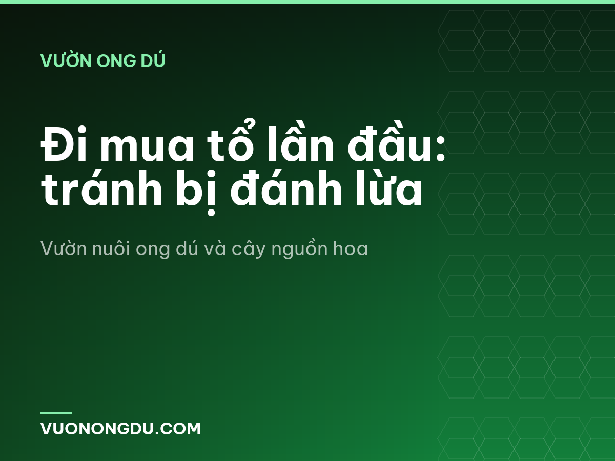 Đi mua tổ lần đầu: tránh bị đánh lừa