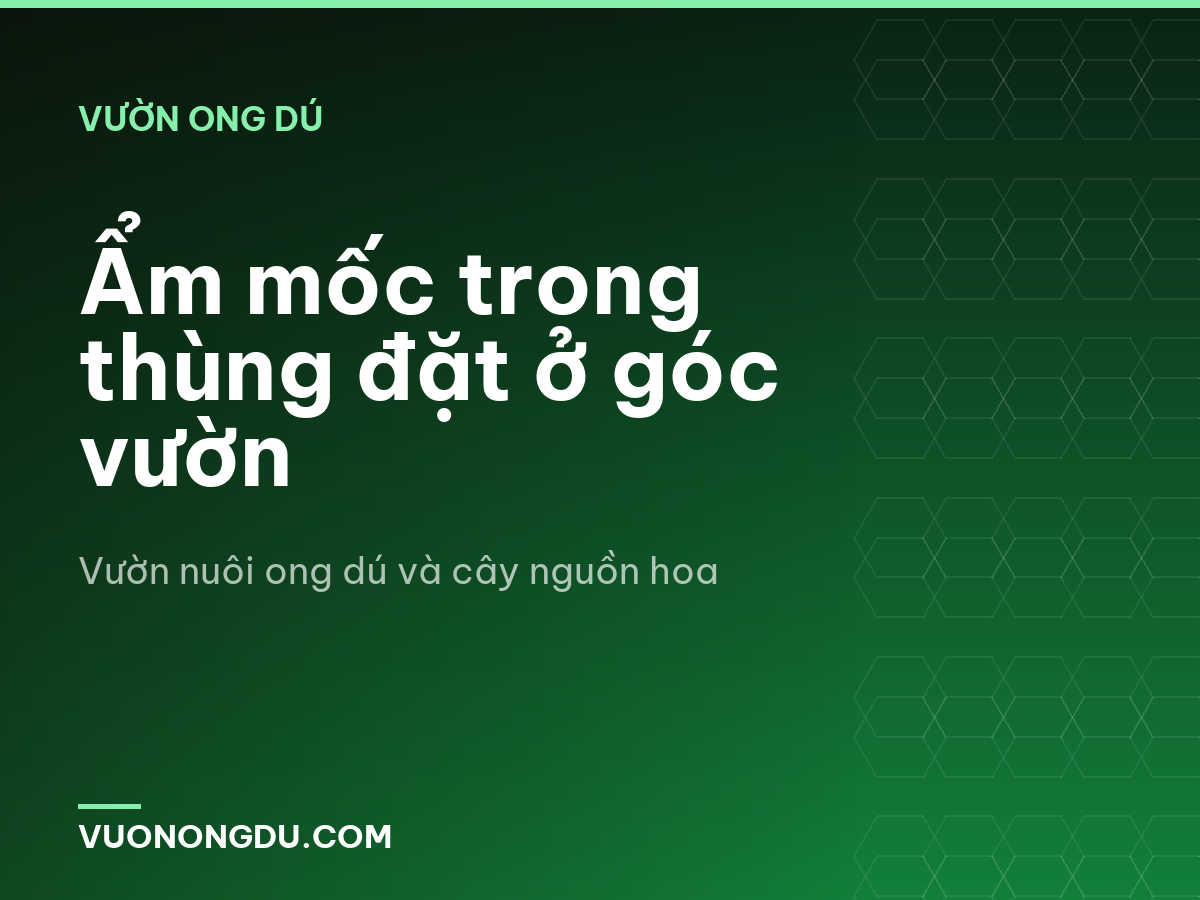 Ẩm mốc trong thùng đặt ở góc vườn