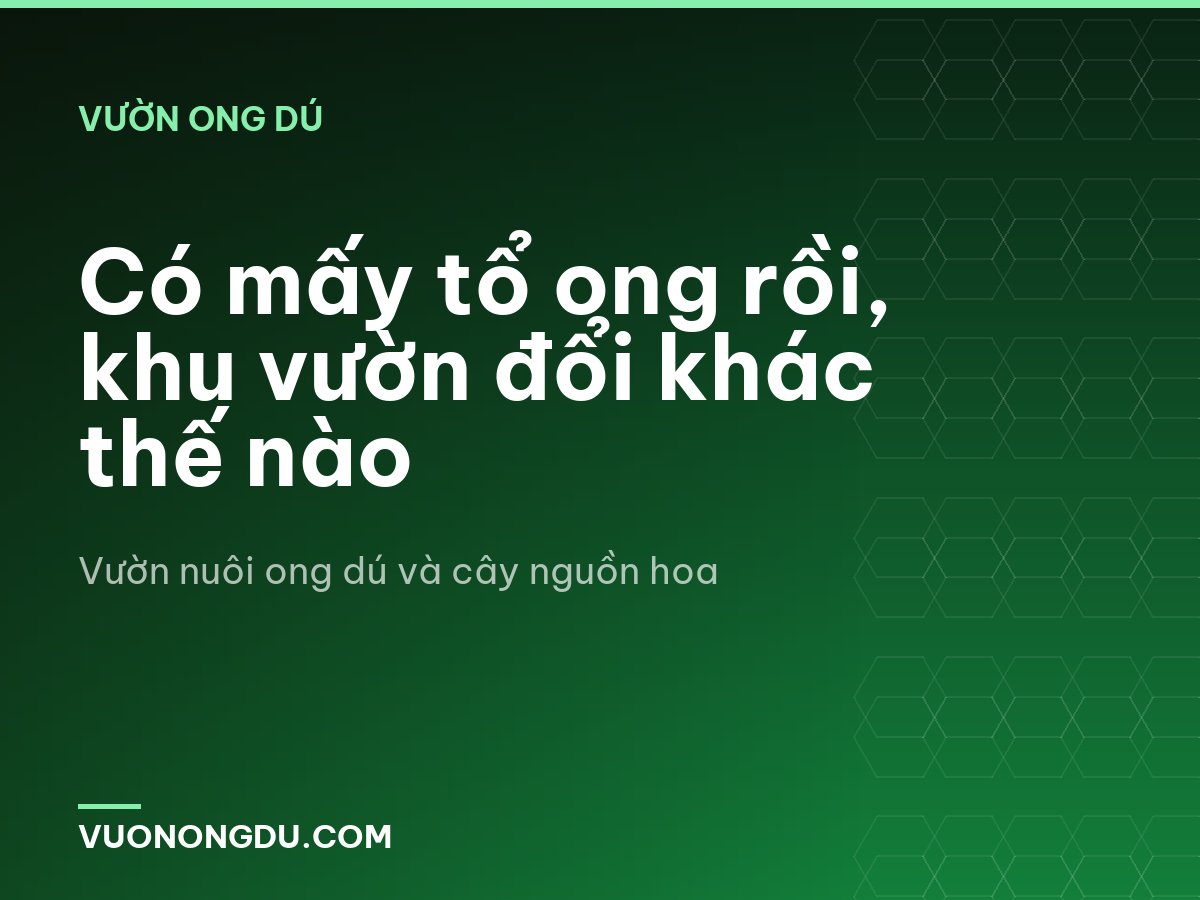 Có mấy tổ ong rồi, khu vườn đổi khác thế nào