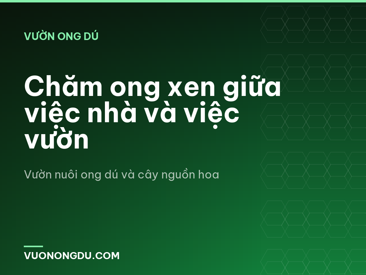Chăm ong xen giữa việc nhà và việc vườn