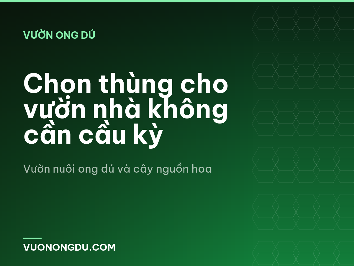 Chọn thùng cho vườn nhà không cần cầu kỳ