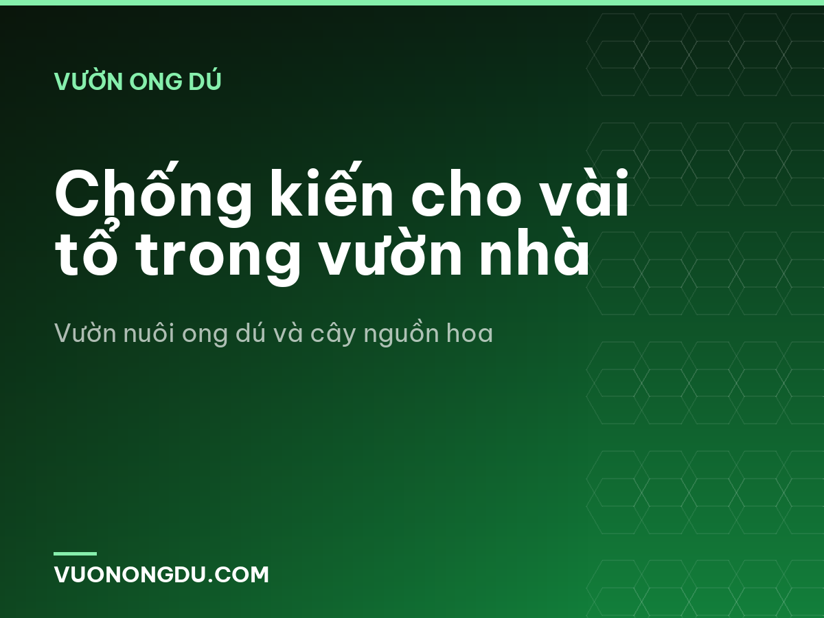 Chống kiến cho vài tổ trong vườn nhà
