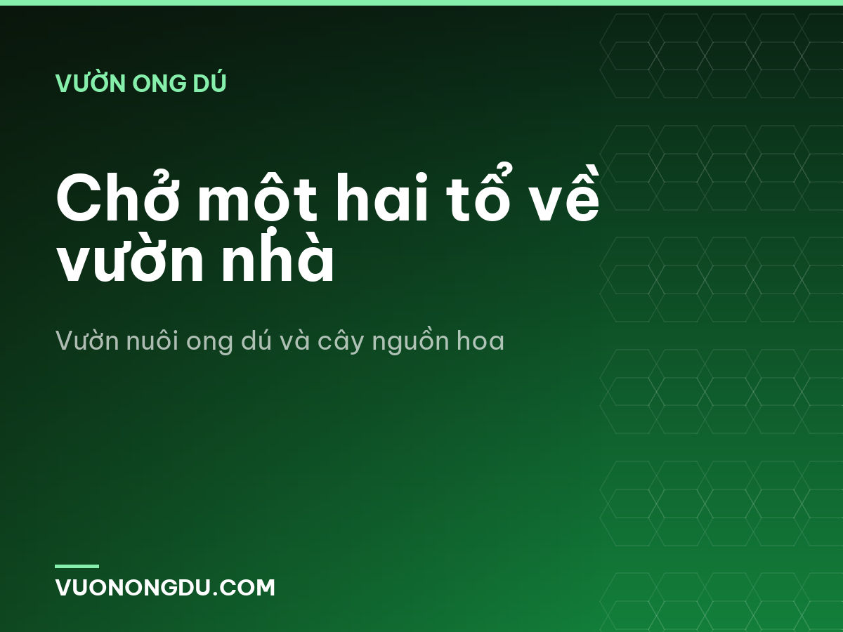 Chở một hai tổ về vườn nhà