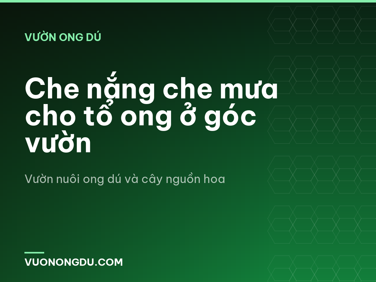 Che nắng che mưa cho tổ ong ở góc vườn