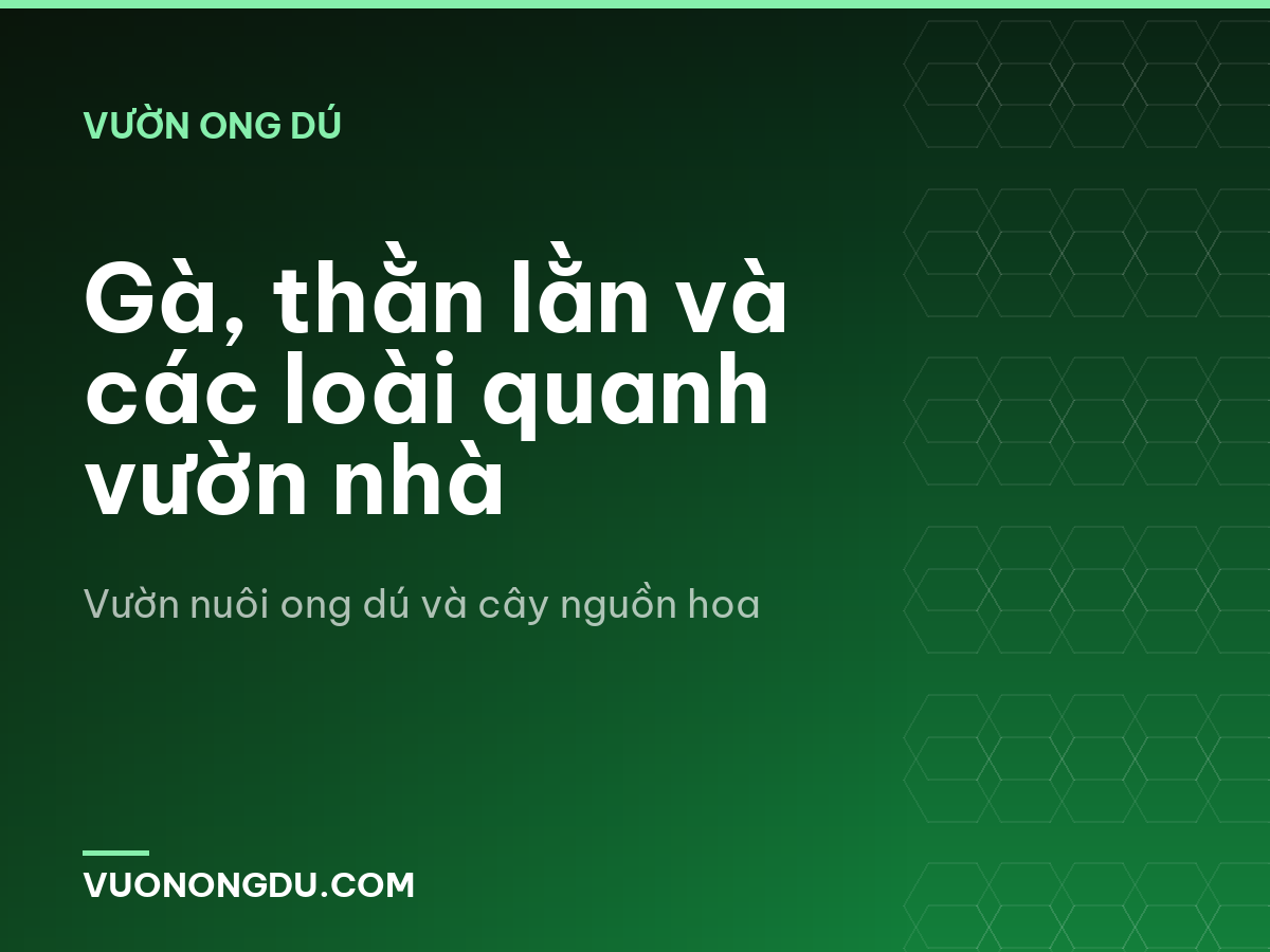 Gà, thằn lằn và các loài quanh vườn nhà