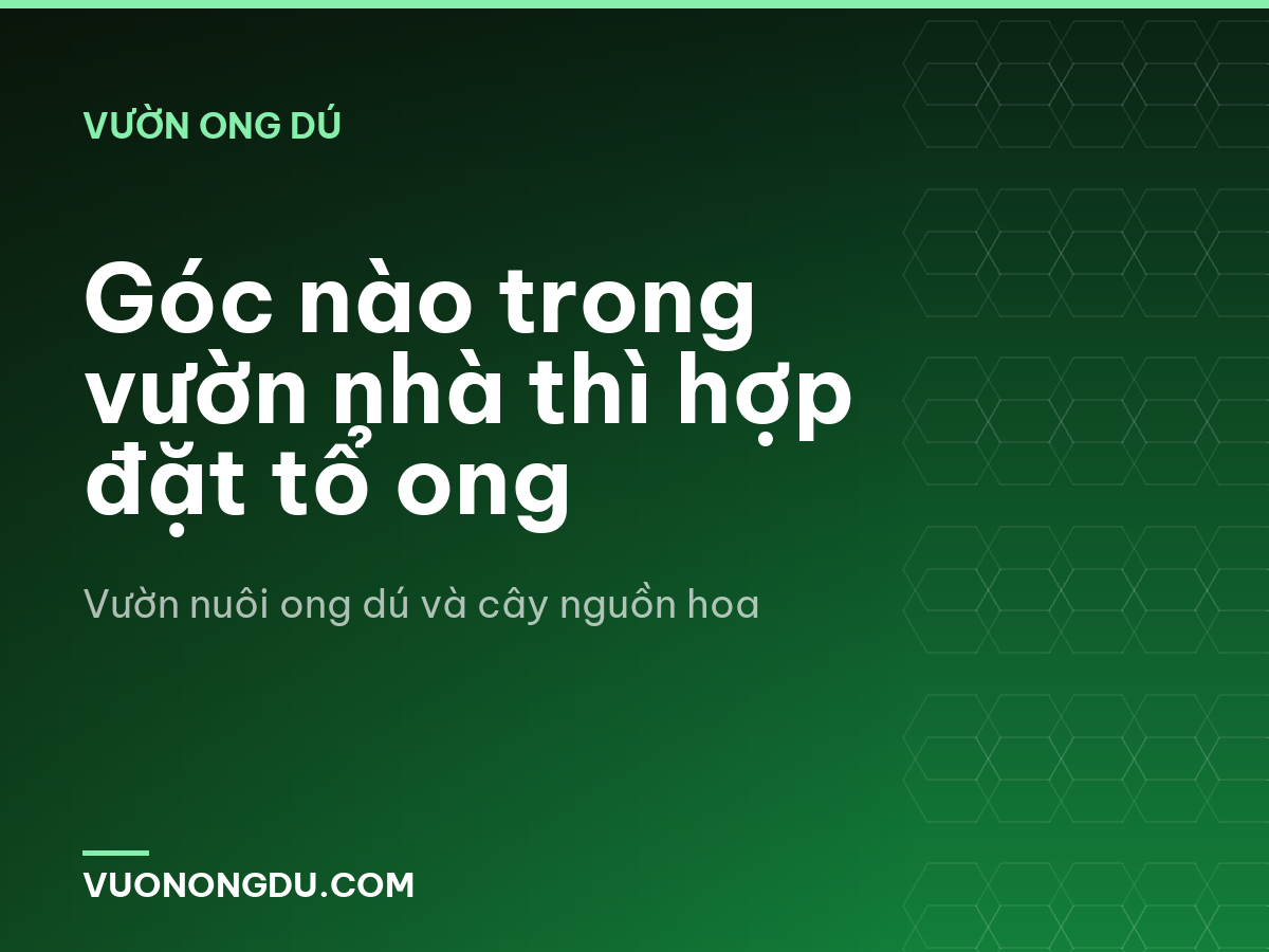 Góc nào trong vườn nhà thì hợp đặt tổ ong