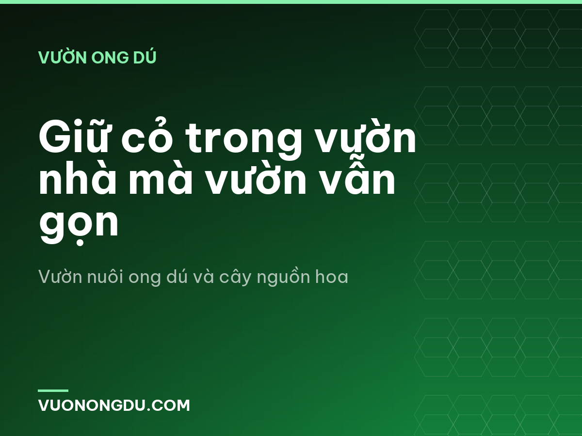 Giữ cỏ trong vườn nhà mà vườn vẫn gọn