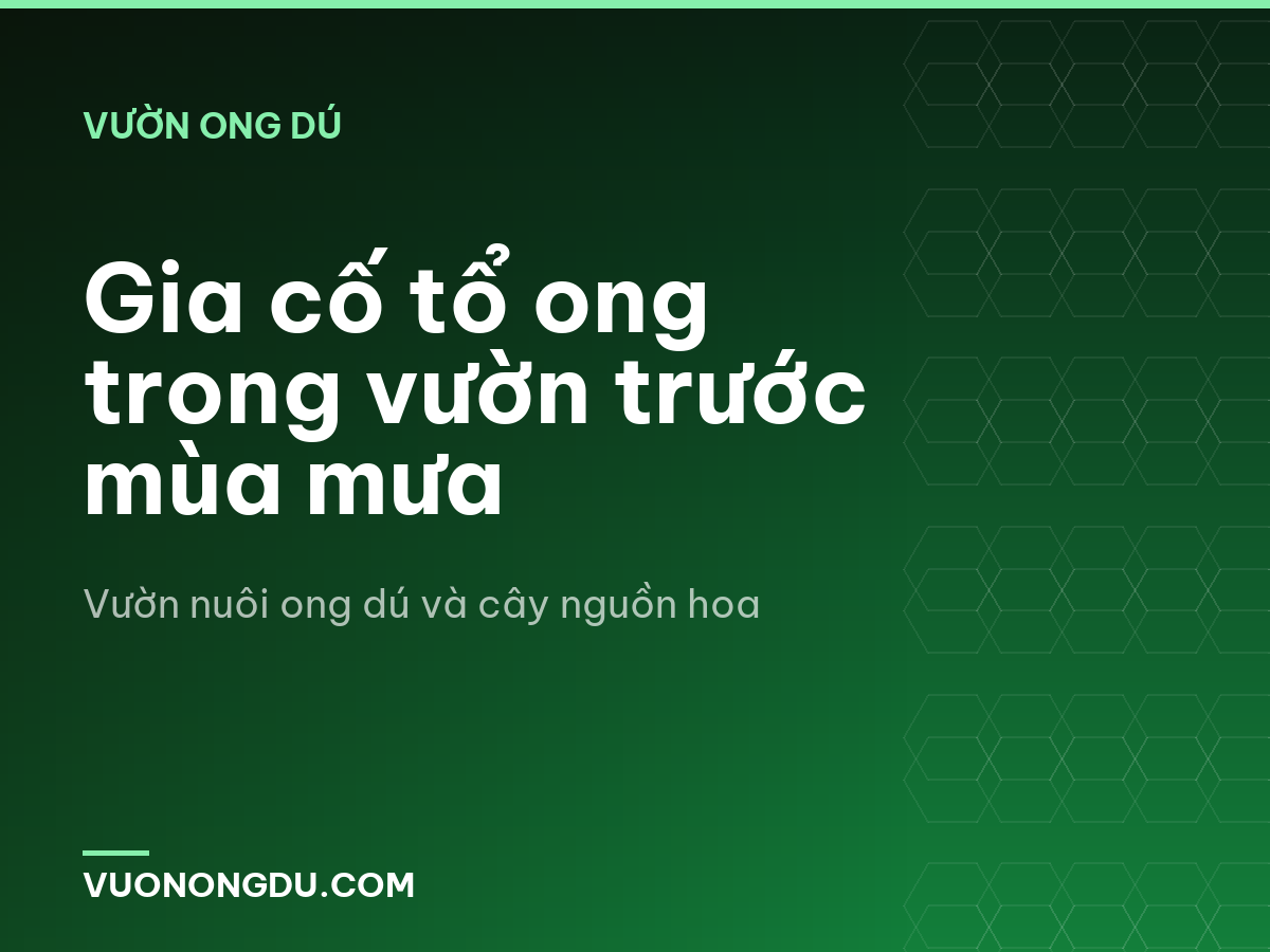 Gia cố tổ ong trong vườn trước mùa mưa