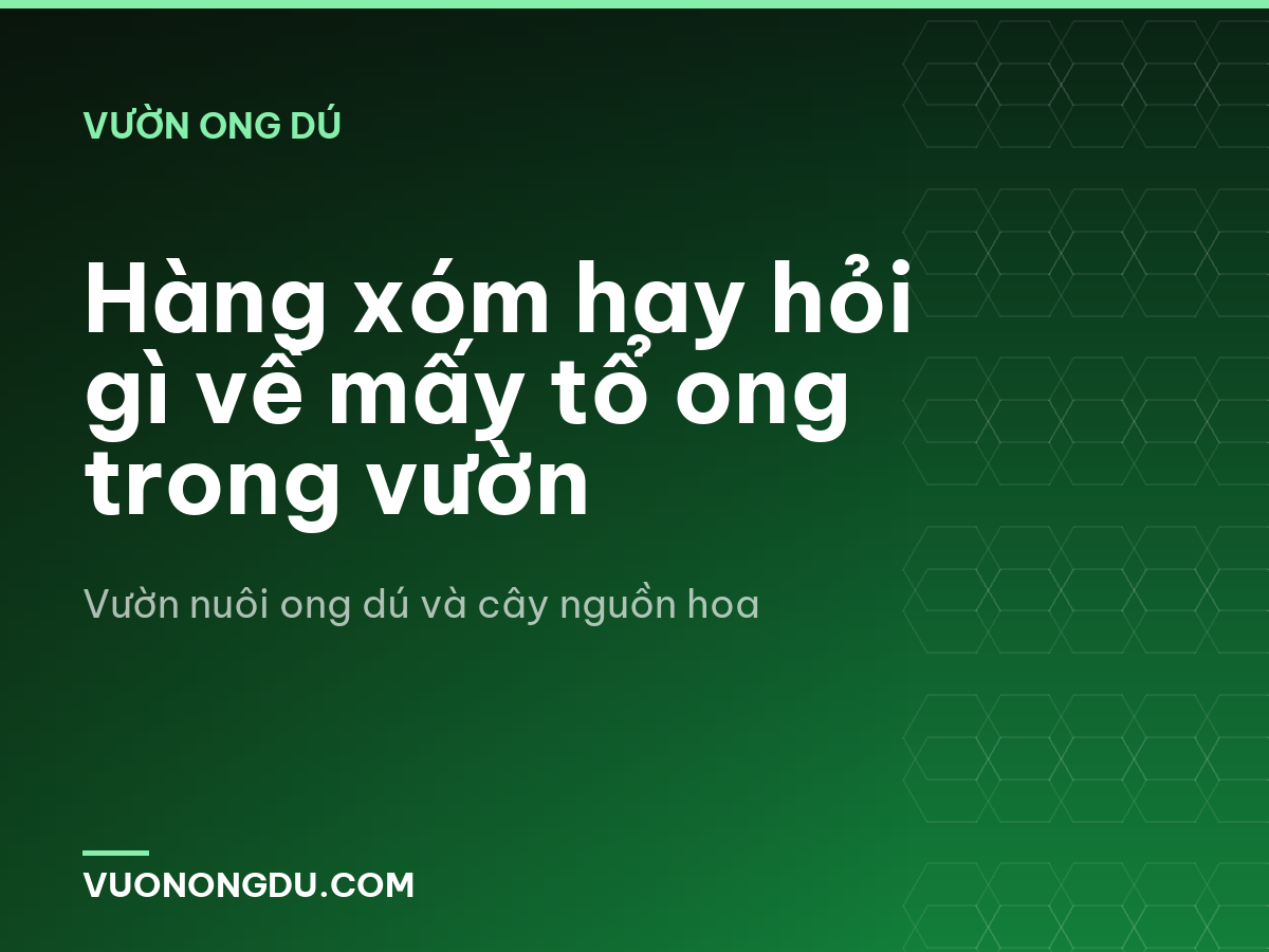 Hàng xóm hay hỏi gì về mấy tổ ong trong vườn