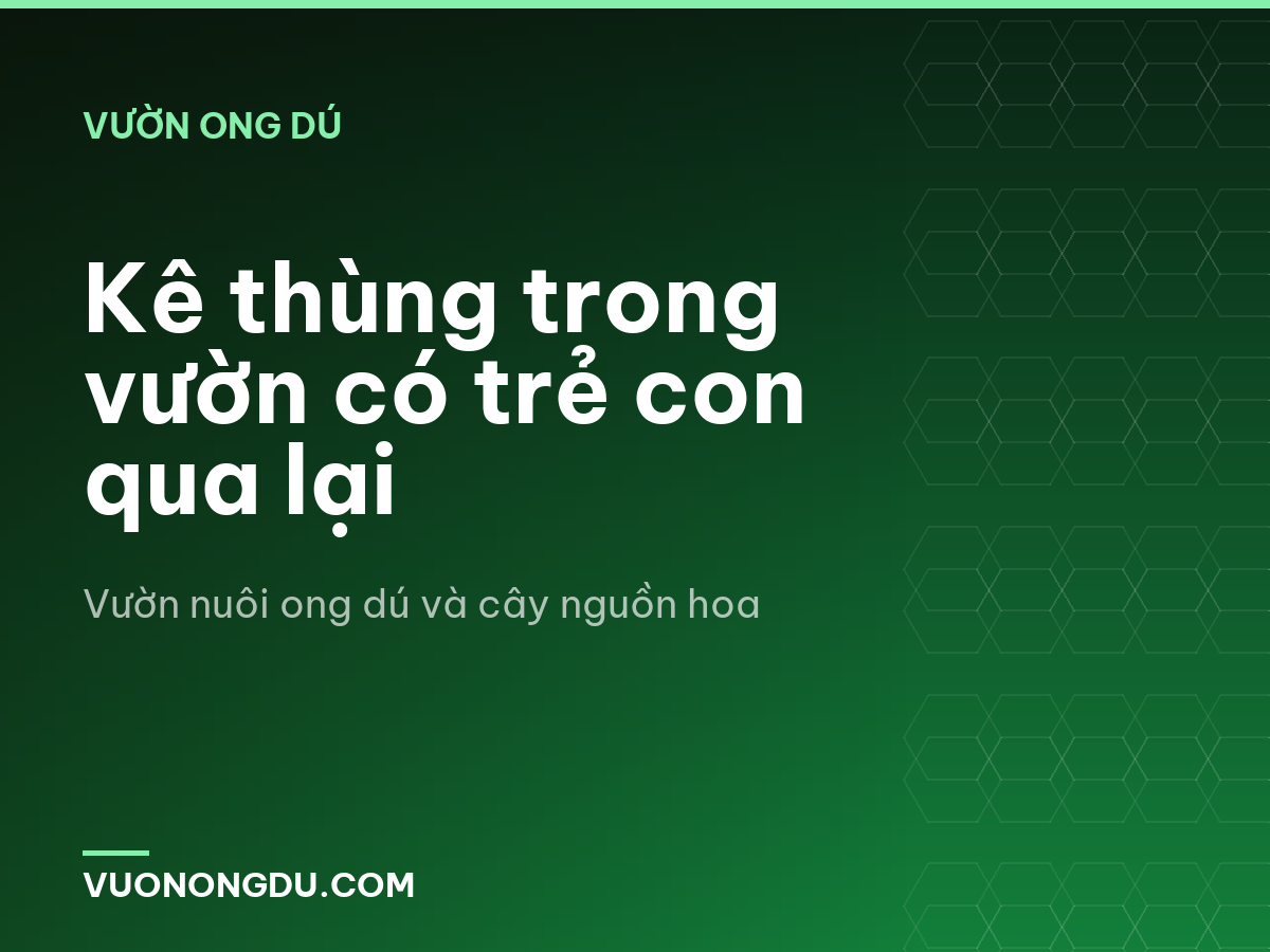 Kê thùng trong vườn có trẻ con qua lại