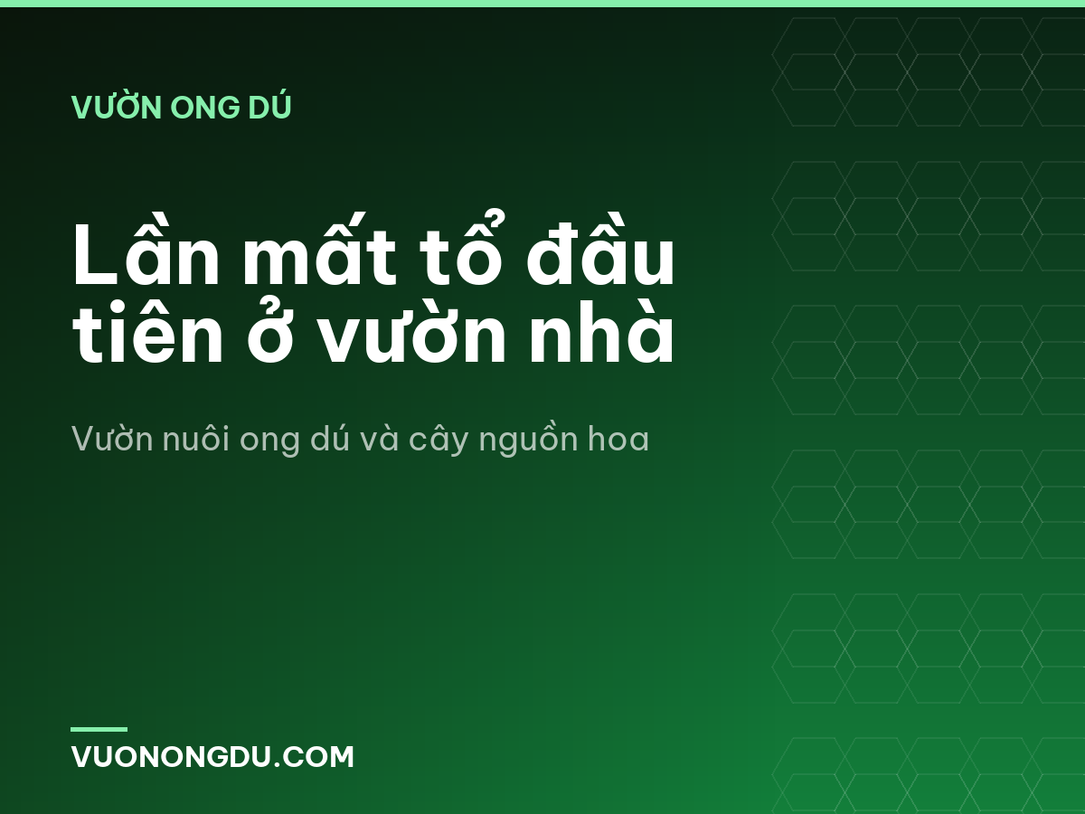 Lần mất tổ đầu tiên ở vườn nhà