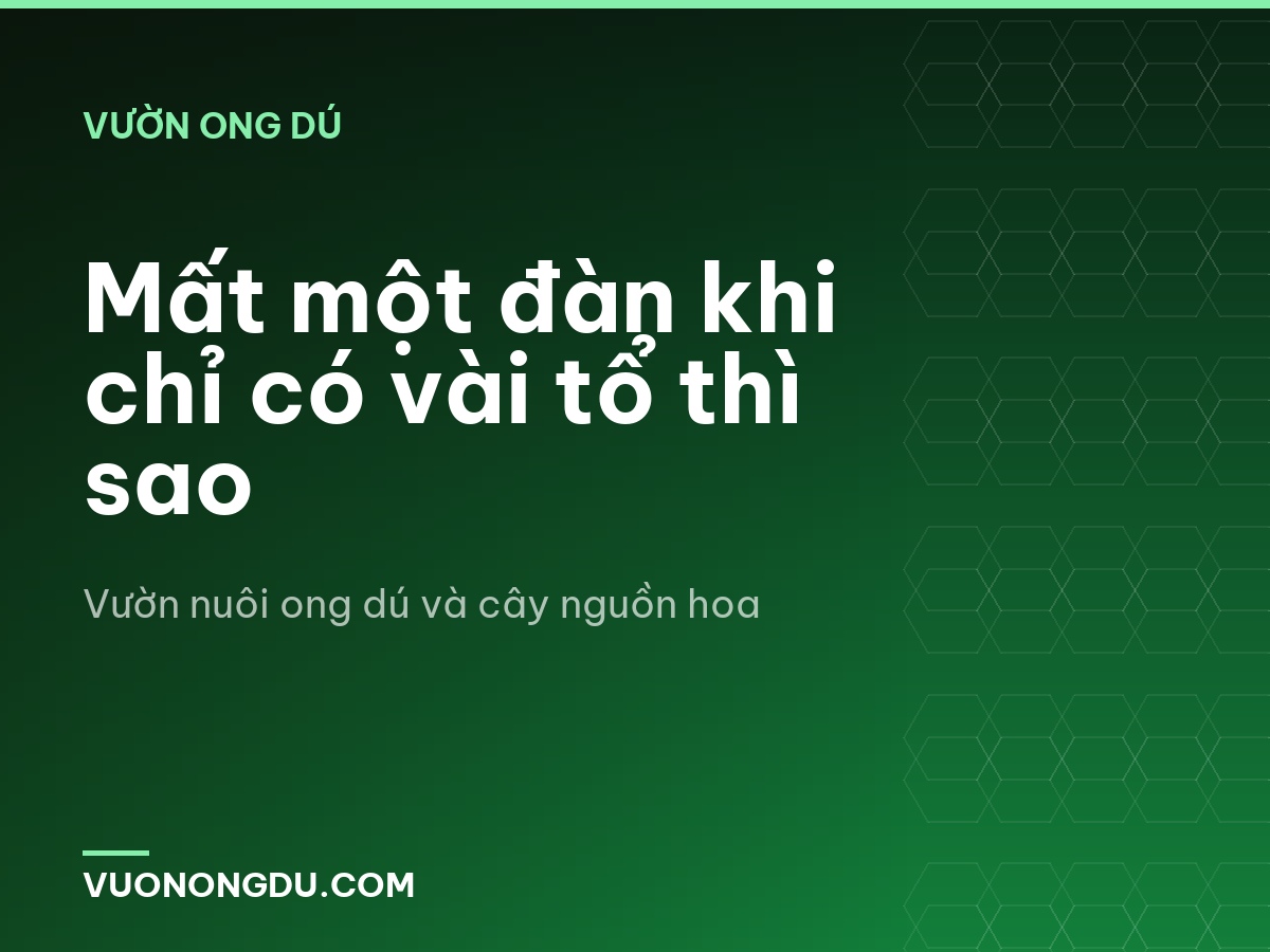 Mất một đàn khi chỉ có vài tổ thì sao