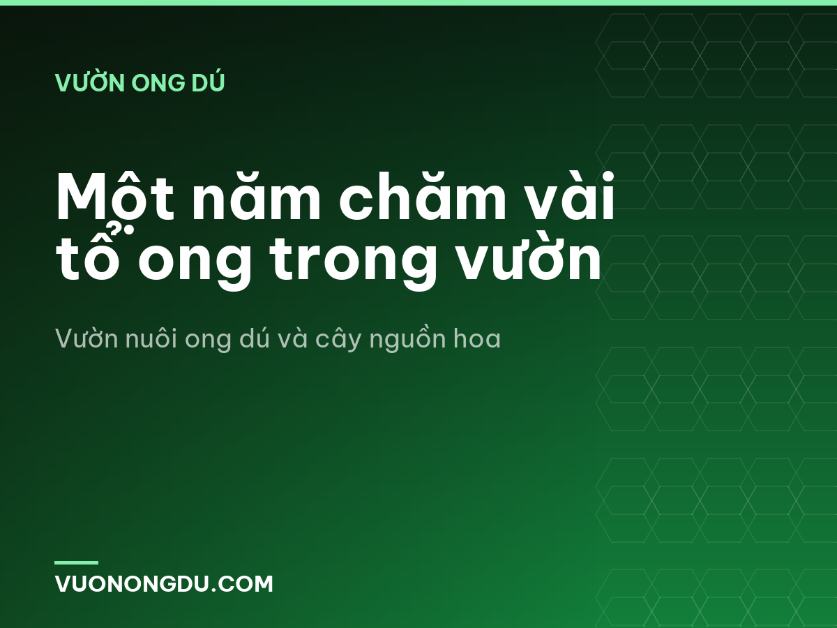 Một năm chăm vài tổ ong trong vườn
