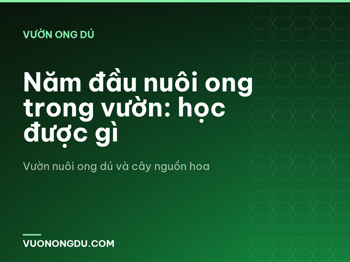 Năm đầu nuôi ong trong vườn: học được gì