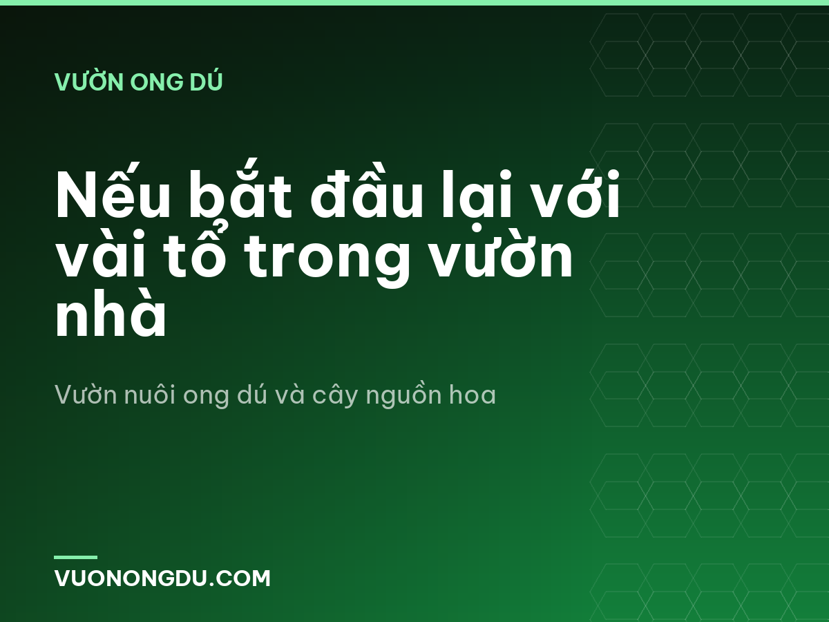 Nếu bắt đầu lại với vài tổ trong vườn nhà