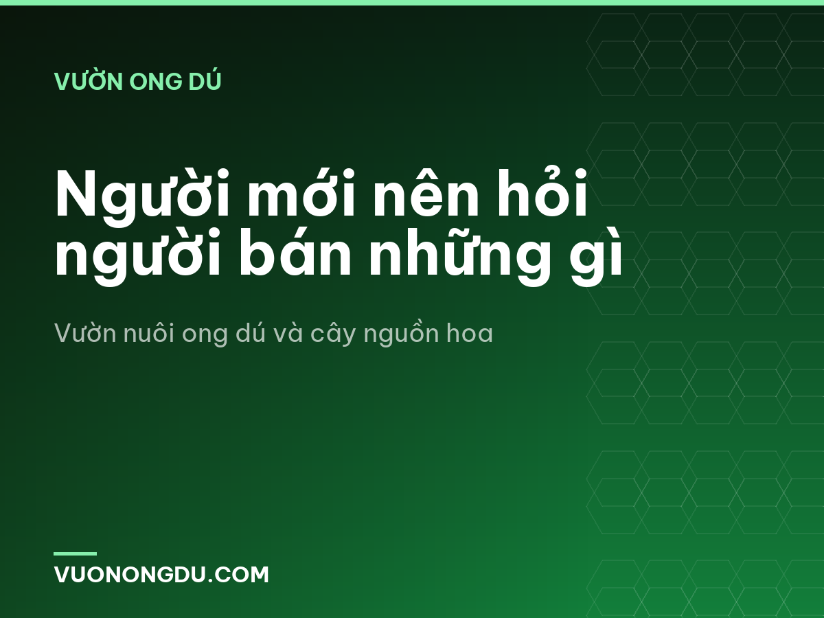 Người mới nên hỏi người bán những gì