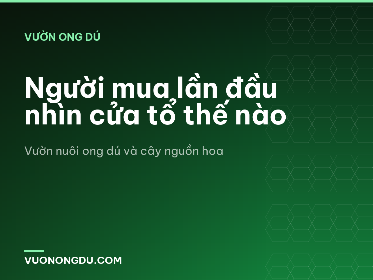 Người mua lần đầu nhìn cửa tổ thế nào