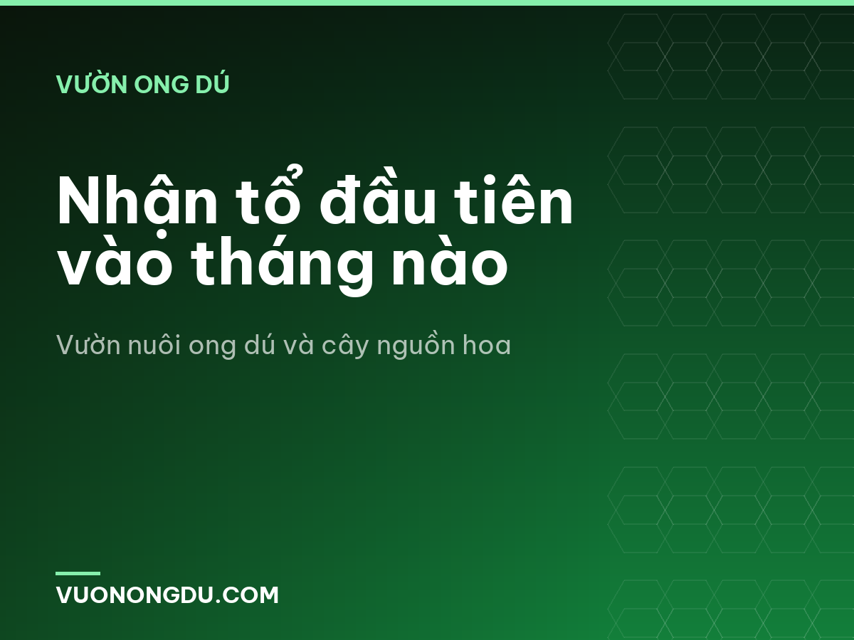 Nhận tổ đầu tiên vào tháng nào