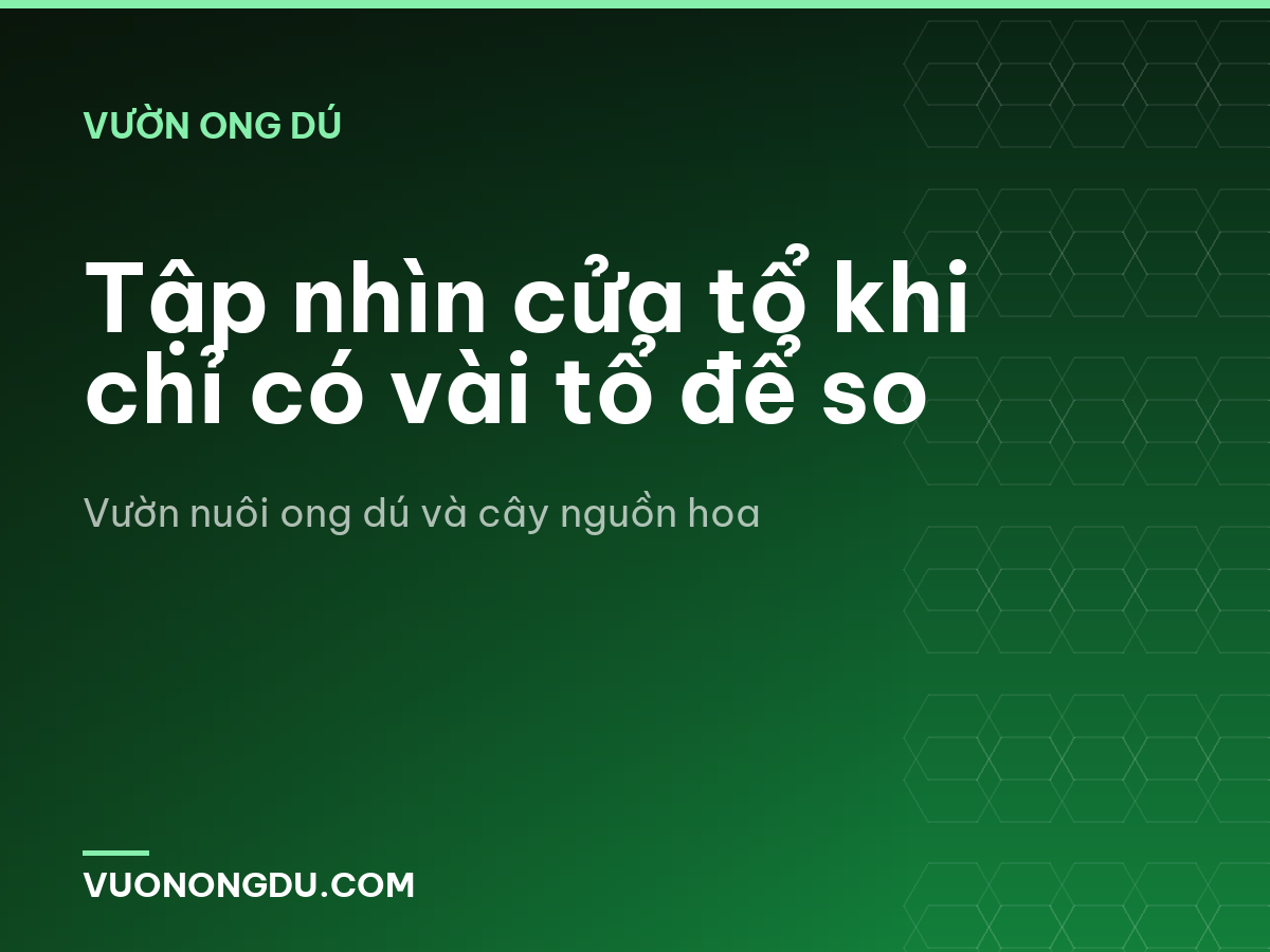 Tập nhìn cửa tổ khi chỉ có vài tổ để so