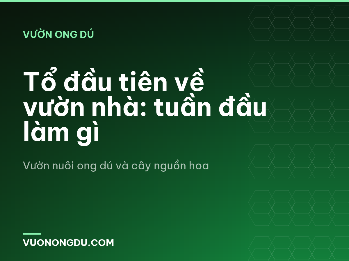 Tổ đầu tiên về vườn nhà: tuần đầu làm gì