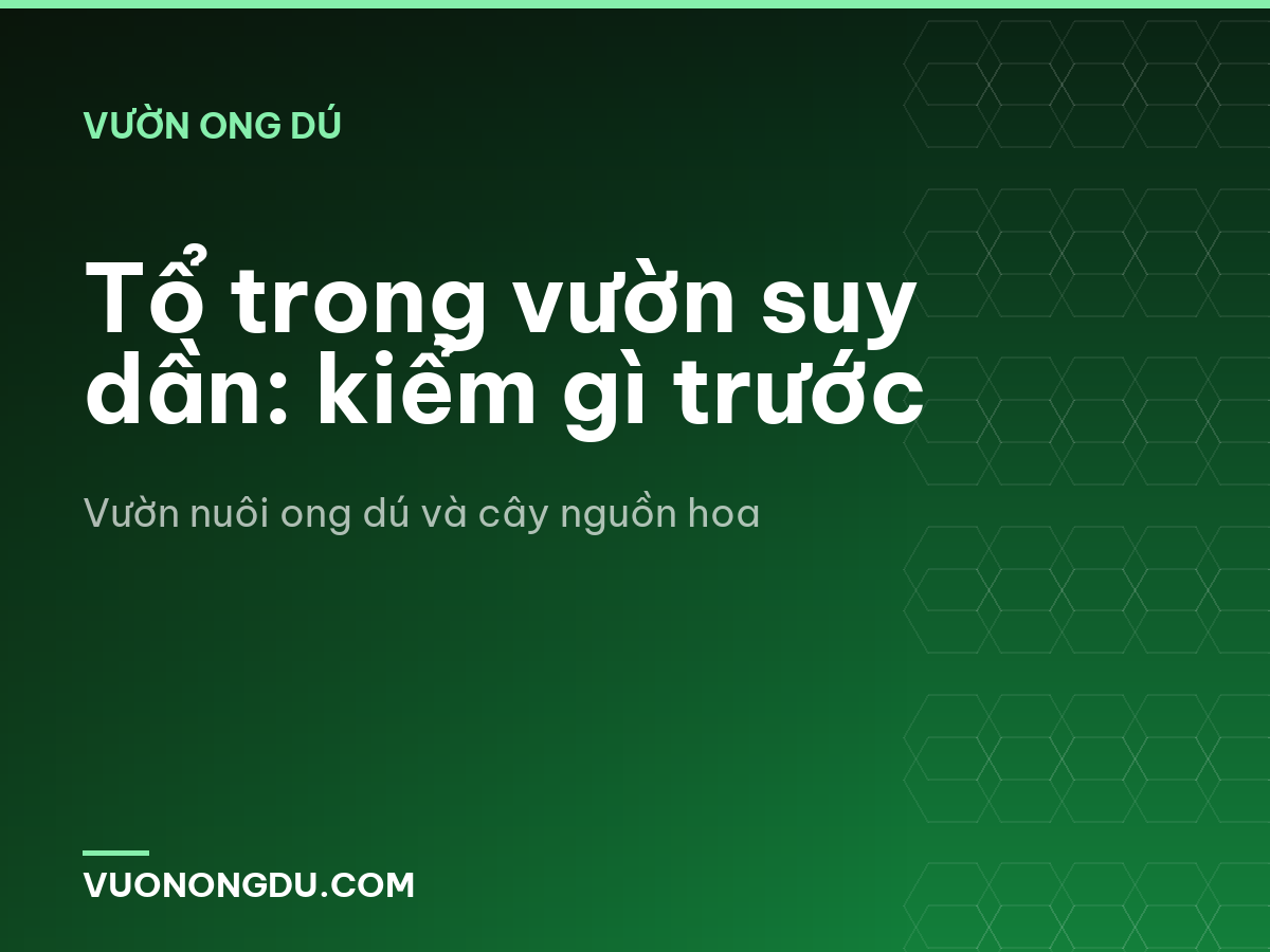 Tổ trong vườn suy dần: kiểm gì trước