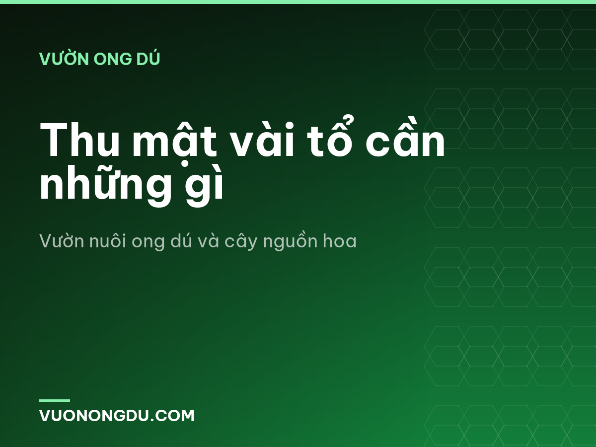 Thu mật vài tổ cần những gì