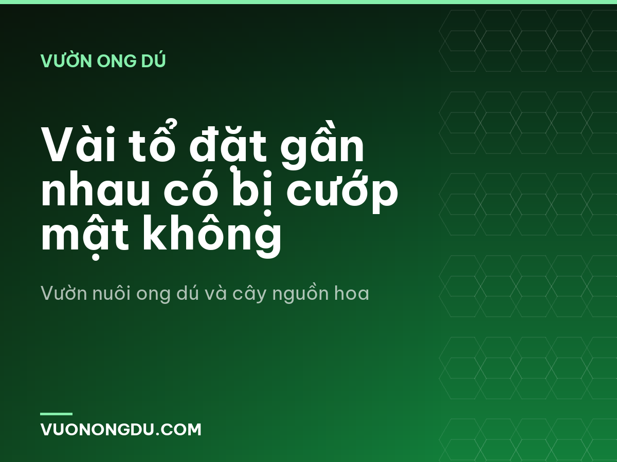 Vài tổ đặt gần nhau có bị cướp mật không