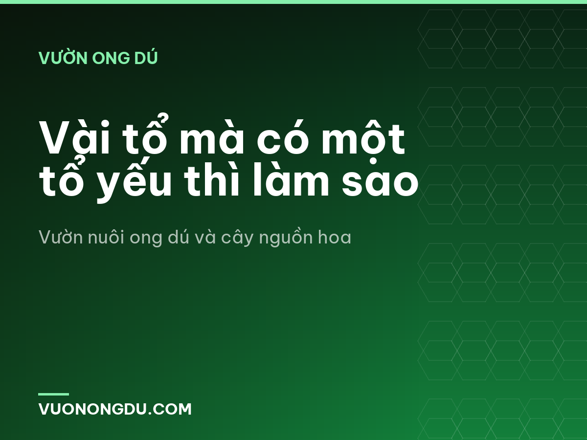 Vài tổ mà có một tổ yếu thì làm sao
