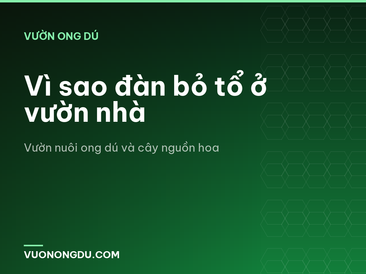Vì sao đàn bỏ tổ ở vườn nhà