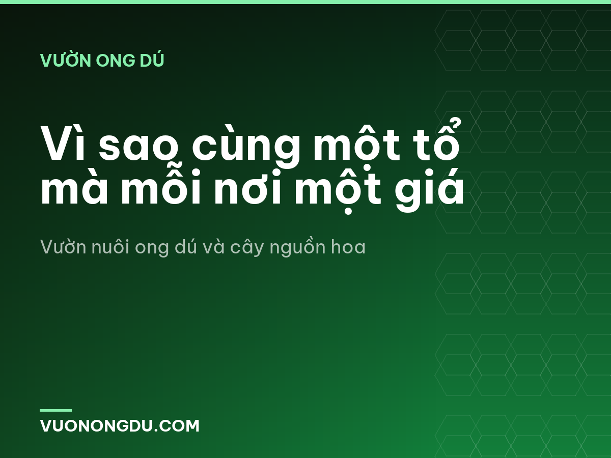 Vì sao cùng một tổ mà mỗi nơi một giá
