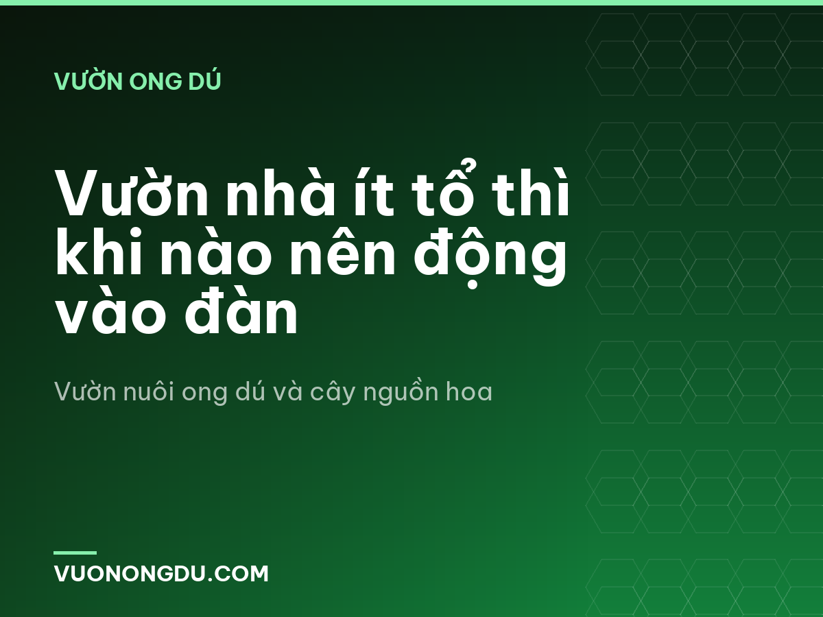 Vườn nhà ít tổ thì khi nào nên động vào đàn