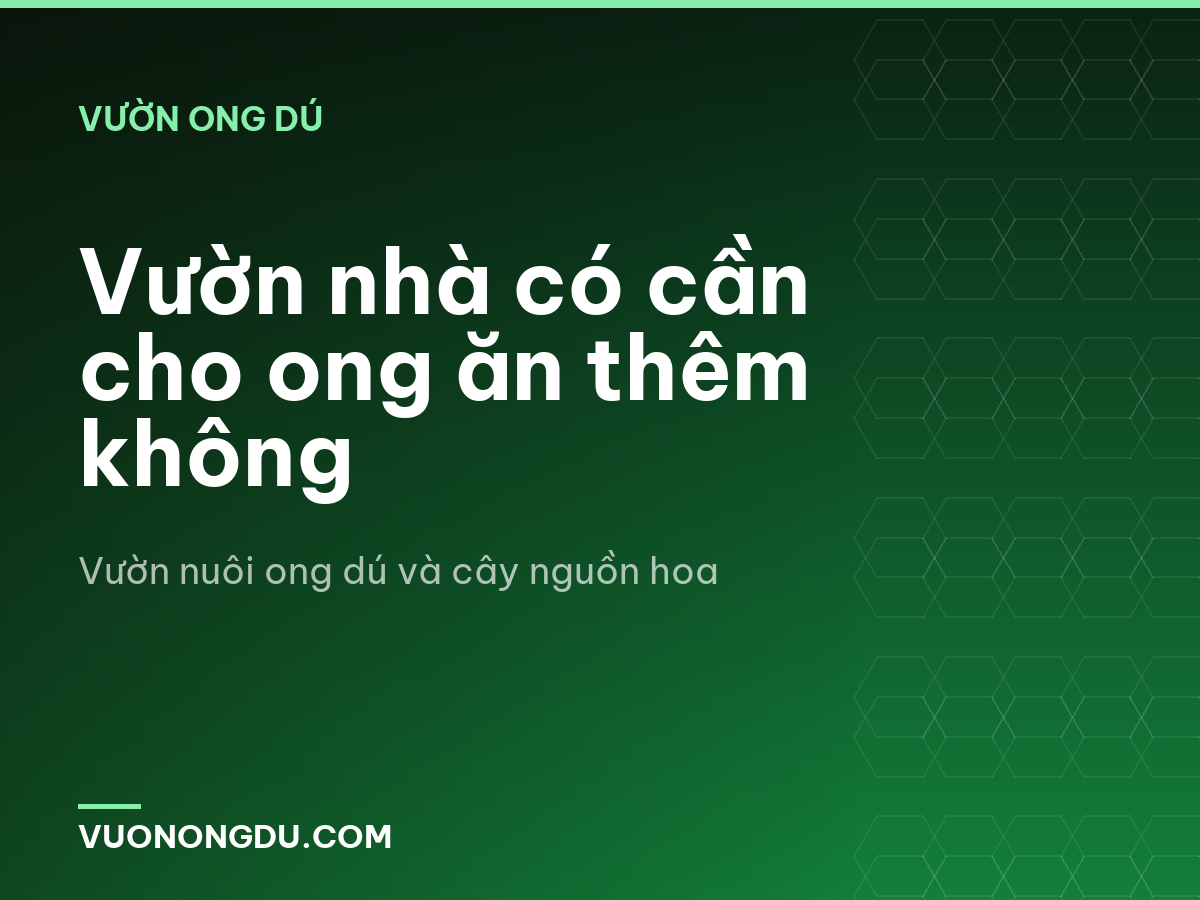 Vườn nhà có cần cho ong ăn thêm không