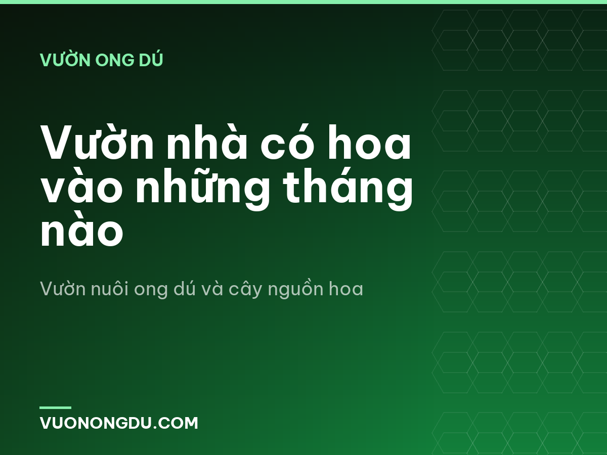 Vườn nhà có hoa vào những tháng nào