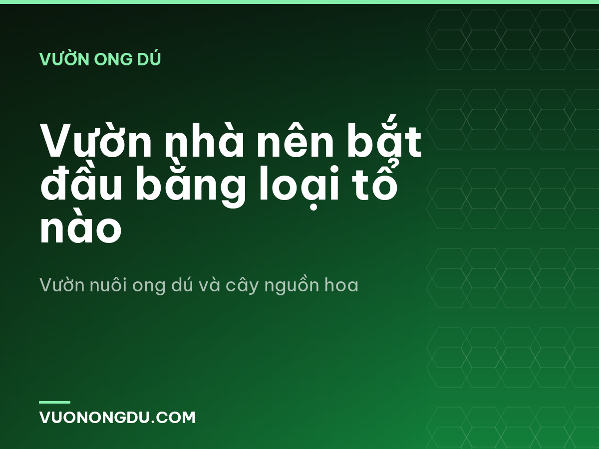 Vườn nhà nên bắt đầu bằng loại tổ nào