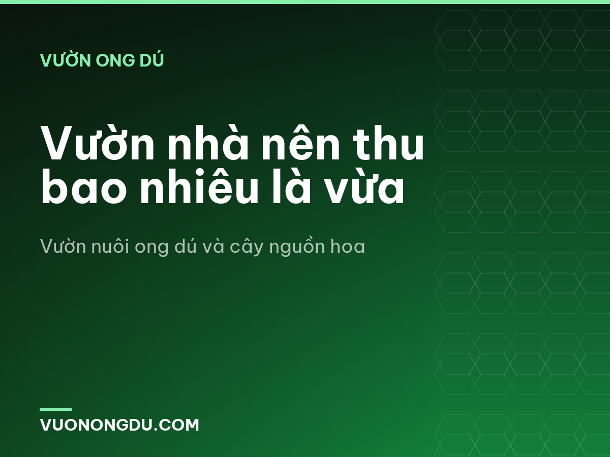 Vườn nhà nên thu bao nhiêu là vừa