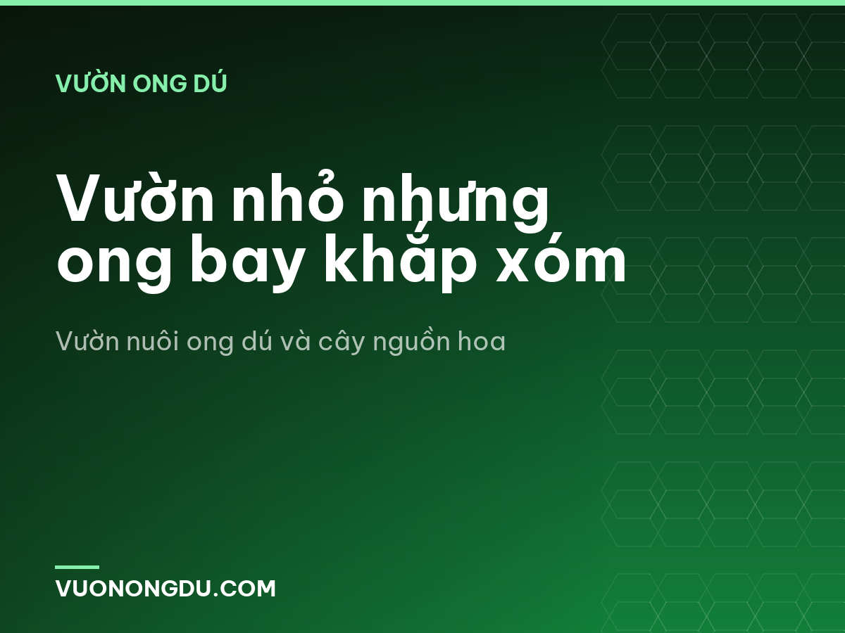 Vườn nhỏ nhưng ong bay khắp xóm