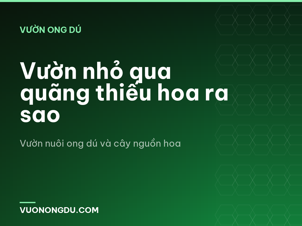 Vườn nhỏ qua quãng thiếu hoa ra sao